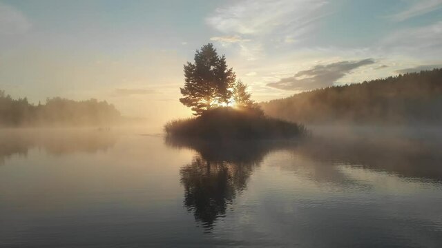 A small tree on the island in the lake covered with mist in the sunrise