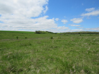 field and blue sky