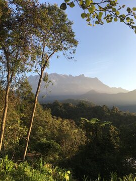 Kota Kinabalu jungle view, Borneo