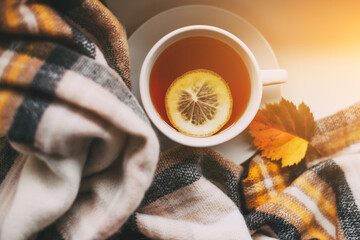 autumn cup of tea with lemon, yellow autumn leaves and plaid
