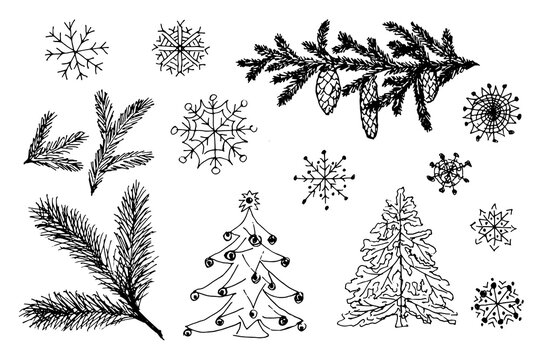 Christmas, New Year vector set of decorative elements drawn by a pen on paper. Isolated simple images of snowflakes, Christmas trees, cones, branches of a Christmas tree and pine. Black on white.