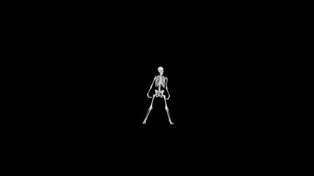 Skeleton dancing - 4k 3D animation of a skeleton dancing - Halloween concept