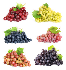 Set of fresh grapes on white background