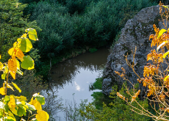 A photo of a reflection in a small Lake, emerged from river Erma, Bulgaria.