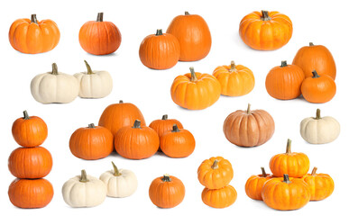 Set of different fresh pumpkins on white background