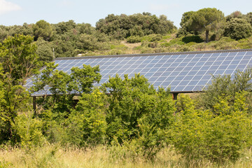 Large solar panel in nature
