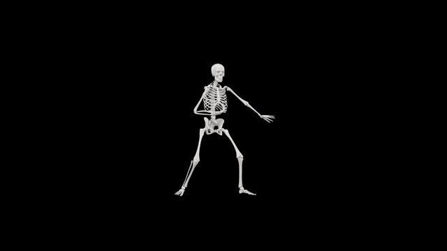 Skeleton dancing - 4k 3D seamless animation of a skeleton dancing - Halloween concept