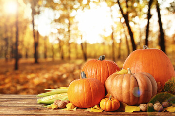 Happy Thanksgiving day. Fresh pumpkins, corn, walnuts and fallen leaves on wooden table outdoors