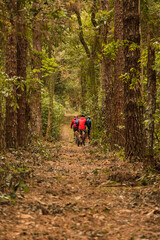 Bikers in the jungle. bikers ride through the jungle. Outdoor concept and sport.