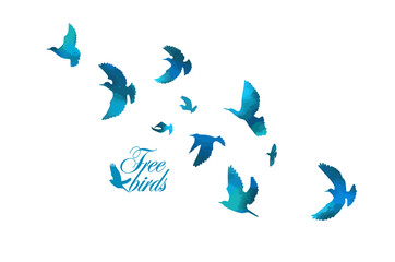 Bird watercolor. A flock of colorful birds. Mixed media. Vector illustration