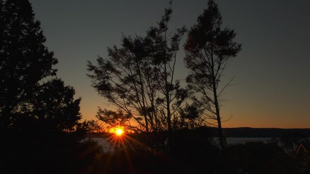 Tall trees with leaves lowing in the wind as the sun sets over the Hudson River in Irvington, New York