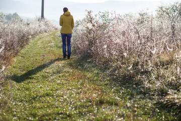Fototapeta na wymiar woman walking alone in autumn landscape social distancing