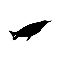 Fototapeta premium Isolated penguin animal vector design
