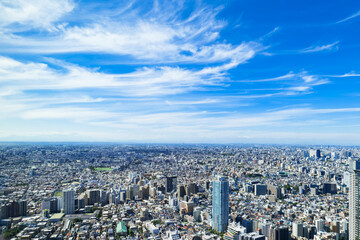 東京　都庁から眺める都市風景