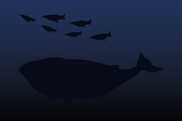 penguins and whale animal vector design