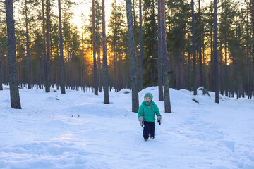 Child walking in the winter forest during sunset