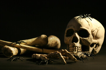 Skull and bones