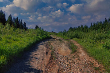 Summer landscape dirt road to the top of the mountain surrounded by a fir forest against the blue sky.