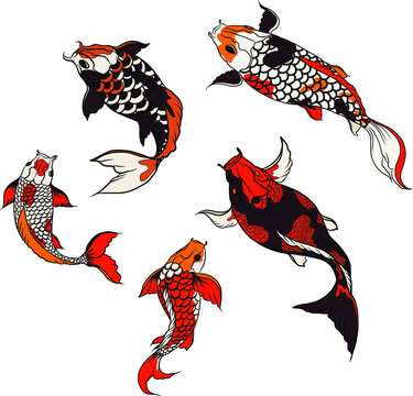 Hand drawn Koi fish isolate vector set and Koi carp Japanese tattoo.Element of carp fish, isolate, silhouette, and colorful.