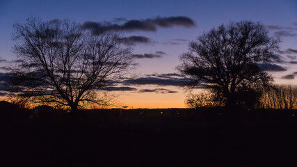 Fototapeta na wymiar Beautiful sunset or twilight behind the branches of two trees