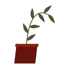 plant inside pot vector design