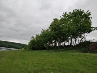 landscape with trees