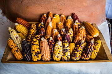 traditional Mexican food in Oaxaca City, Mexico