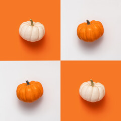 Creative halloween flat lay two pumpkin. Square checkerboard white and orange on colored background with copy space.