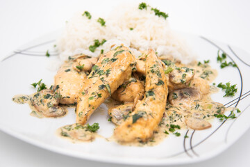 Creamy Herb Mushroom Chicken with steamed rice, dill and parsley closeup shot on a plate


