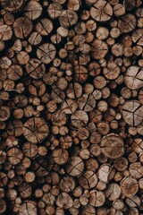 Photo of Woodpile
