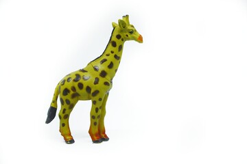 Giraffe rubber toys, Isolated on white background. Rubber animals toys for kids. Wild animals. 