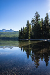 Reflection of Pine Trees in Lake Bowman in Glacier National Park