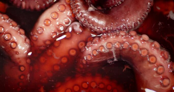 Cooking the octopus in boiling water in a saucepan. 
