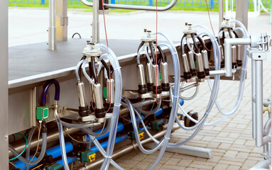 Milking machine elements, milking equipment