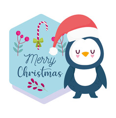 merry christmas, cute penguin with hat, invitation card