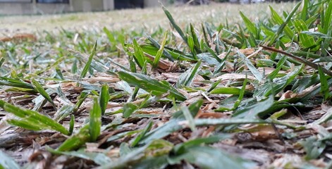 invierno/primavera