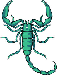 scorpion top view vector color illustration