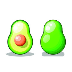 Set Abstract Collection Food Avocado Meal Background Vector Design Style Whole Ripe Cut Half Slice