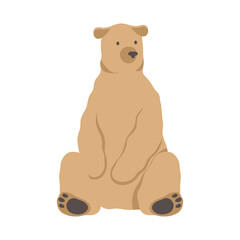 polar bear wild animal icon