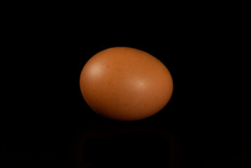 Brown chicken single egg isolated on black background