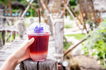 Close up of woman hand holding fresh iced rose tea with blue pea flower in a plastic cup with blurred green background. Organic for healthy, Perfect drink for summertime and copy space for text.