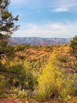 Red Mountains of Sedona