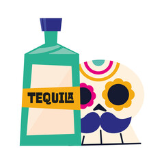 mexican skull and tequila bottle vector design