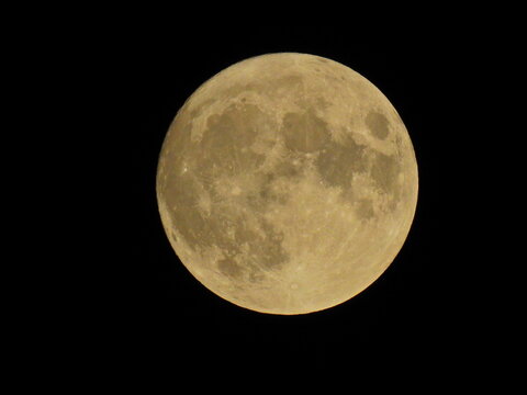 中秋の名月。十五夜。風無く静かな佇まい。月イメージ素材。2020年10月1日。月齢14.0