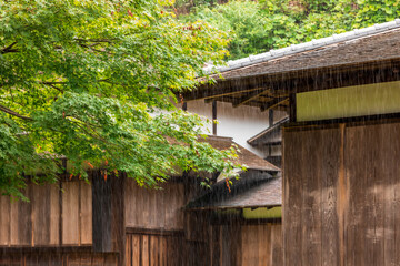 Fototapeta na wymiar 雨と古い日本家屋