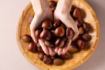 栗を手ですくう