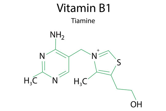 Vitamin b1 formula for healthcare design. Thiamin as a healthy food. Vector illustration. Stock photo.