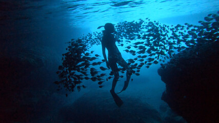 Silhouette of a diver, in the middle of fish in the Blue Room Curaçao
