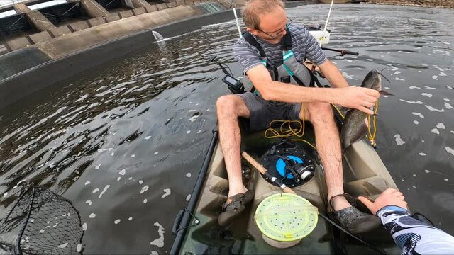 Skinny fisherman wearing glasses and life jacket securing his fresh catch catfish on stringer while seating in kayak.