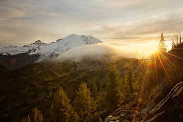The majestic Mt. Rainier towers over the landscape of the mt rainier national park in washington state. Stunning scenery everywhere you look